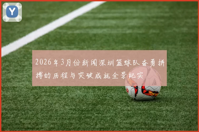 2026年3月份新闻深圳篮球队奋勇拼搏的历程与突破成就全景纪实