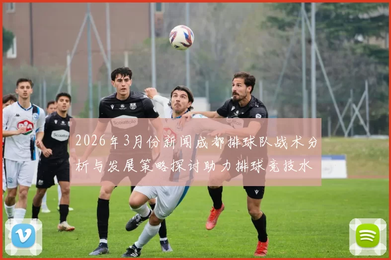 2026年3月份新闻成都排球队战术分析与发展策略探讨助力排球竞技水平提升